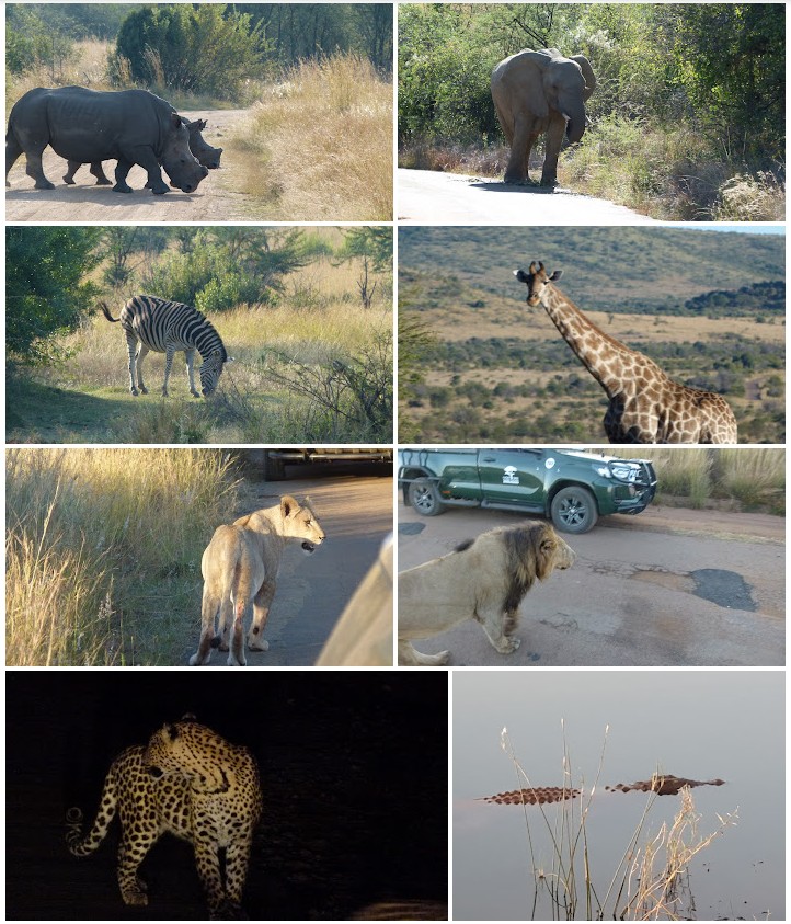 Southern Africa 23 26