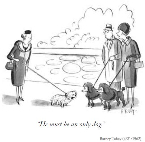 only dog