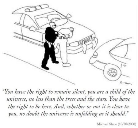 universe unfolding