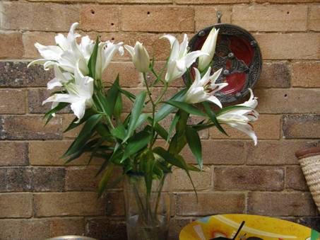 image011