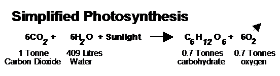 climate006